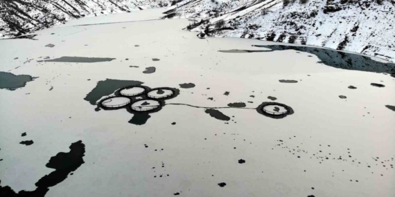 Erzincan’da Soğuk Hava Baraj Yüzeyini Buzla Kapladı: Göyne Sulama Barajı Kapanışsız Soğukta