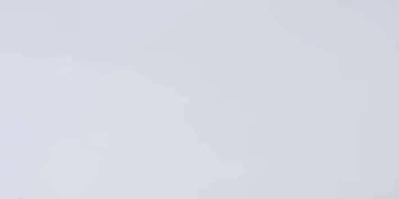 Karlı Diyarbakır’da Kurtlar Şehir İçine İnen Yiyecek Krizi