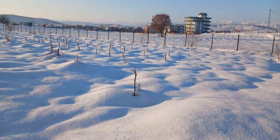 Kulp’ta Kar Yağışı Çiftçilere Umut Oldu: Buğday ve Arpa İçin Verimli Bir Dönem