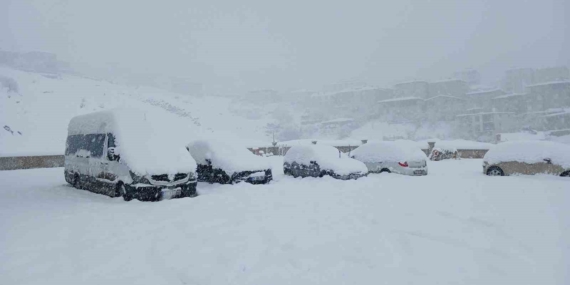 Kulp’ta Kar Yağışında Ulaşım Zorlukları ve Belediye Önlemleri