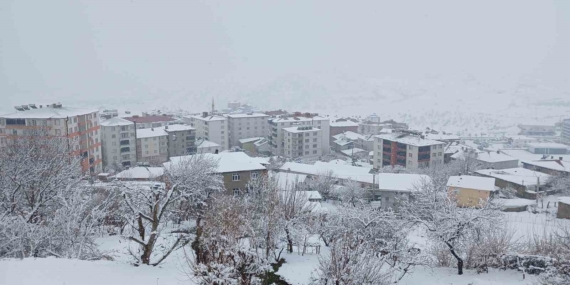 Kulp’ta Üç Gündür Devam Eden Kar Yağışı: Köy Yolları Ulaşıma Kapandı, Ana Cadde Temizleniyor