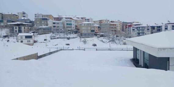 Kulp’ta Yoğun Kar Yağışı Sonrası Kapanan Köy Yolu ve Ulaşım Durumu
