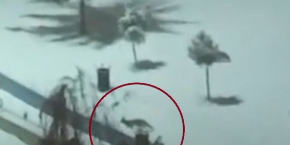 Kurtalan’da Yoğun Kar Sonrası Kır Parçaları Şehrin Merkezine Yaklaştı