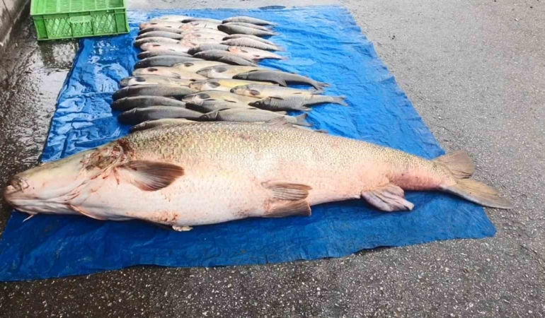 murat-nehrinde-52-kiloluk-turna-balikcilar-et-halinde-satisa-hazirliyor-vmXL1P3m.jpg
