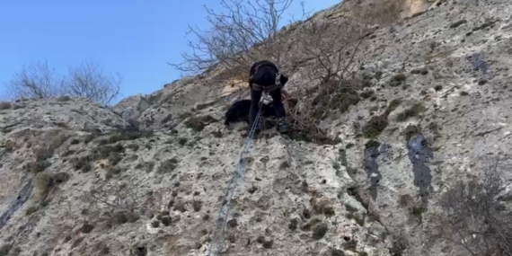 Sivrice Mahallesi’nde Dağlık Alanda Mahsur Kalan Keçi AFAD Operasyonu ile Kurtarıldı