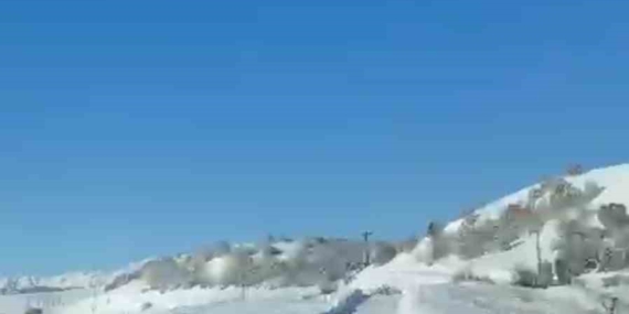 UMKE Ekiplerinin Kurt Yolculuğu: Karla Mücadele ve Doğa İçinde Eşlik Eden Bir Kurt