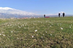 kardelen-ve-cigdemler-yaylalarda-erken-bahari-mujdeledi-jVi3HAGi.jpg