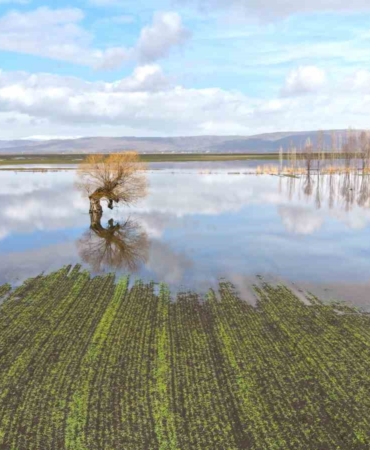 mus-ovasinda-yagis-ve-eriyen-kar-neticesinde-su-baskinlari-koylerde-ev-ve-ahirlari-suyan-hnMGXCLF.jpg