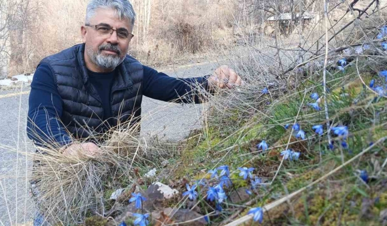 ormanagzinda-erken-bahar-kardelenler-karin-ardinda-isildiyor-YqKuz3eZ.jpg