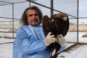 van-yyu-yaban-hayvanlari-merkezi-yirtici-kuslar-dogaya-yeniden-kazandiriliyor-T4AvFeaV.jpg