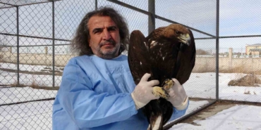 van-yyu-yaban-hayvanlari-merkezi-yirtici-kuslar-dogaya-yeniden-kazandiriliyor-T4AvFeaV.jpg