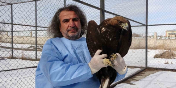 van-yyu-yaban-hayvanlari-merkezi-yirtici-kuslar-dogaya-yeniden-kazandiriliyor-T4AvFeaV.jpg