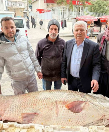 cermikte-balikcilarin-gorenleri-sasirtan-120-kiloluk-turna-baligi-olayi-8jCjjGWS.jpg