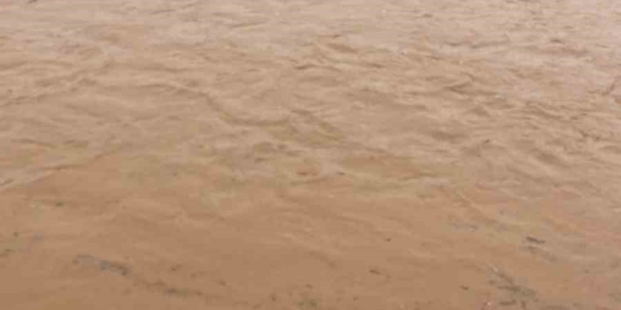 Çınar’da Şiddetli Sağanak Sonrası Taşkın ve Küçükbaş Kayıpları