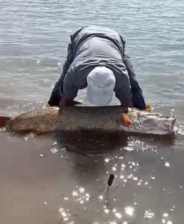 elazigda-amator-balikcilar-kamuoyu-sasirtan-65-kiloluk-turna-baligi-avini-kaydetti-V7lgztvv.jpg