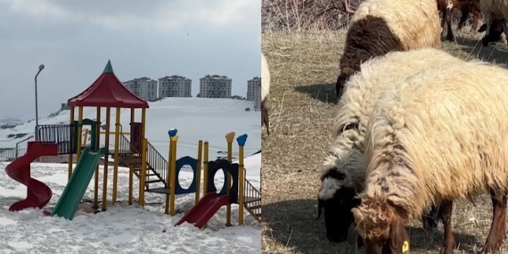 Esendere’de Bahar Sesleri: Kar Altındaki Yüksekova ile Birlikte Gelen Çiftçilik Hikâyesi