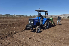 gaziantep-yavuzelide-nohut-ekimine-baslandi-yagisli-kis-sonrasi-bereketli-uretim-umudu-GrmvtAXI.jpg
