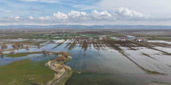 Muş Ovası’nda Kar Erimesi ve Yağışların Getirdiği Su Baskınları