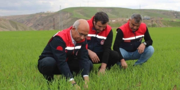 siirtte-yagis-artisi-ve-verimde-umut-2026-uretim-sezonuna-yonelik-degerlendirme-2lWSAAQ5.jpg