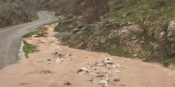 Silvan’da Sağanak Taşkınları: Dere ve Kanal İstikametinde Zararlar ve Uyarılar