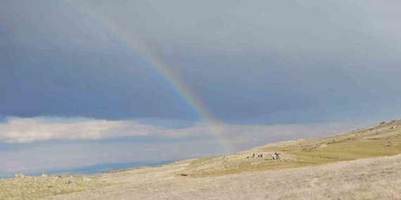 Adilcevaz’da Gökkuşağı: Yağış Olmadan Parıldayan Renkler