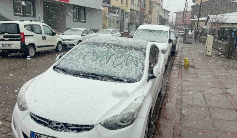 bingol-karliovada-nisan-kari-baharin-habercisi-beyaz-tatil-w5xEbTVj.jpg