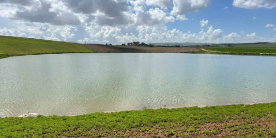 Çayırlı Köyü Yapay Göleti: Kuraklık Sonrası Doğal Yeniden Canlanma
