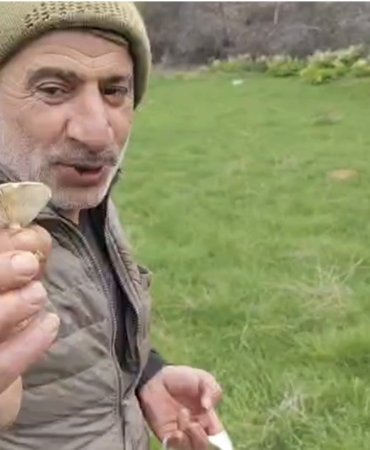 cunguste-dogal-mantarlara-dogal-ilgi-elyos-koyu-ve-cayir-mantari-uzerine-sohbetler-VIecrpft.jpg