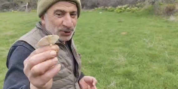 Çüngüş’te Doğal Mantarlara Doğal İlgi: Elyos Köyü ve Çayır Mantarı Üzerine Sohbetler