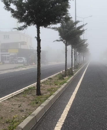 diclede-sabah-sisinin-etkisi-ve-trafik-guvenligi-uyarilari-CQLc8GHU.jpg
