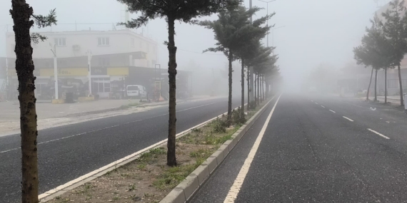 Dicle’de Sabah Sisinin Etkisi ve Trafik Güvenliği Uyarıları