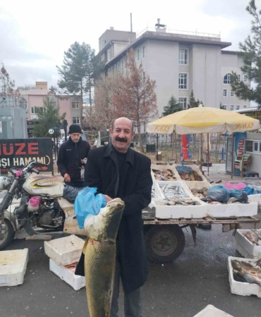 diyarbakir-ic-sularinda-balik-avi-yasagi-basladi-ureme-donemi-icin-onlemler-devrede-k8nbQlN4.jpg