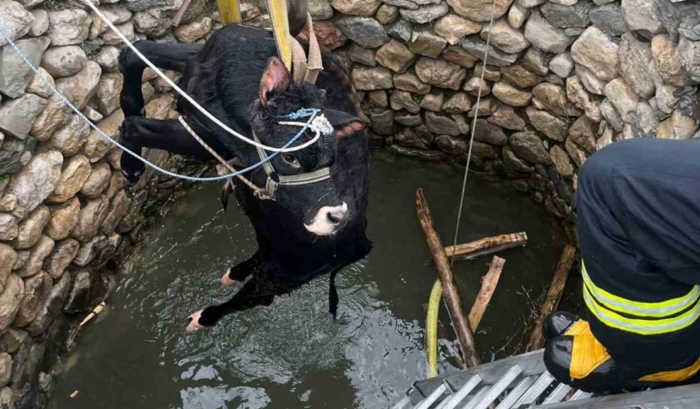 erganideki-inek-kurtarildi-su-kuyusundan-sagsalim-cikarildi-XCdOymst.jpg