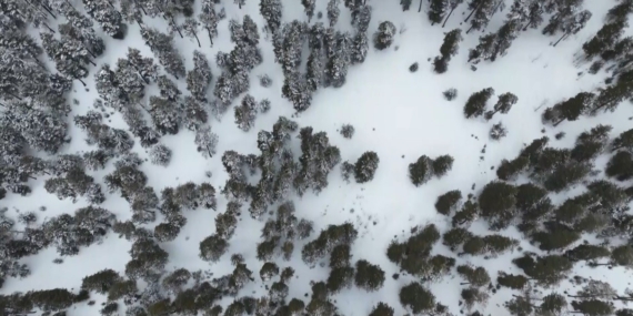 Kars’ta Kar Yağışı ve Zirai Don Tehlikesi: Soğuk Havalarda Tarım ve Yaşam