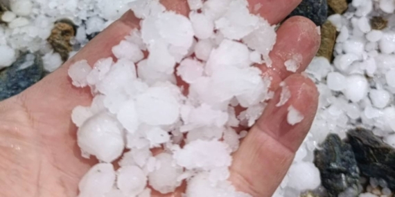 Malatya’da Dolu Yağışı Kayısı Bahçelerini Vurdu: Hasar ve Uyarılar