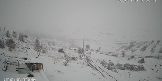malatyada-kar-sonrasi-kurt-surusunun-ev-cevresinde-dolanmasi-kamerada-TagSPgZg.jpg