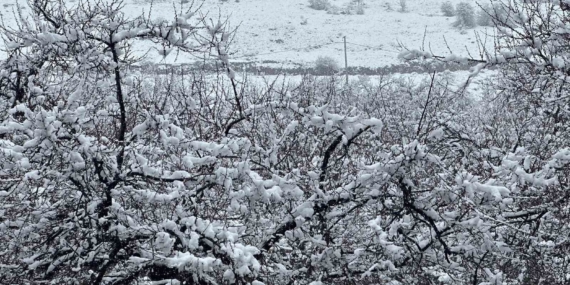 Malatya’nın Kırsalında Kar Kalınlığı Artıyor: Don ve Yağış Uyarısı