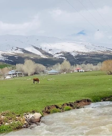 patnos-yoresinde-bahar-iklimi-ovalar-yeserirken-zirvelerde-kar-zamani-5nA13bab.jpg