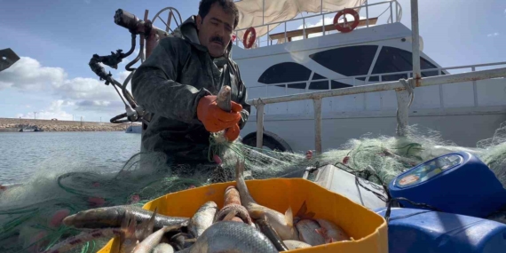Van Gölü İnci Kefali İçin Av Yasağı Başladı: Denetimler 7/24 Uygulanacak