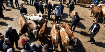 agri-hayvan-borsasi-bayram-oncesi-yogunlukta-sevkler-ve-talepler-artiyor-LwZHHUp1.jpg