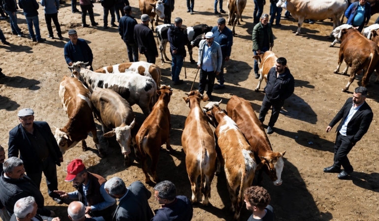agri-hayvan-borsasi-bayram-oncesi-yogunlukta-sevkler-ve-talepler-artiyor-LwZHHUp1.jpg