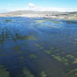 ardahan-ovasinda-bahar-selini-drone-goruntuleriyle-anlatim-VGVgduX6.jpg