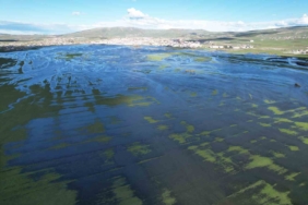 ardahan-ovasinda-bahar-selini-drone-goruntuleriyle-anlatim-VGVgduX6.jpg