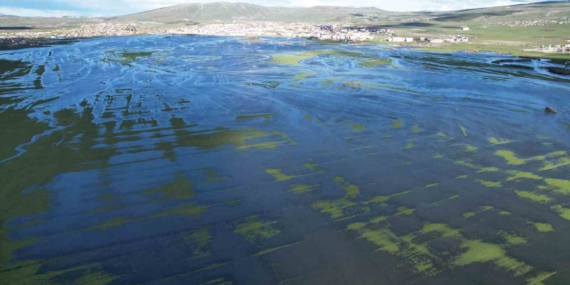 ardahan-ovasinda-bahar-selini-drone-goruntuleriyle-anlatim-VGVgduX6.jpg