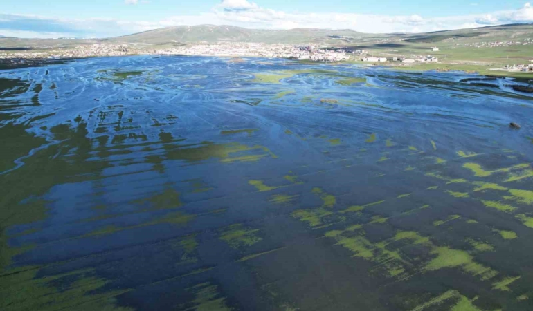 ardahan-ovasinda-bahar-selini-drone-goruntuleriyle-anlatim-VGVgduX6.jpg