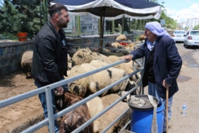 bayrama-dogru-hayvan-pazari-halen-sessizlik-icinde-bekleyis-d1c5QOUd.jpg
