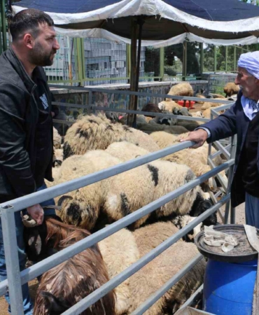 bayrama-dogru-hayvan-pazari-halen-sessizlik-icinde-bekleyis-d1c5QOUd.jpg