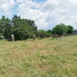 diclede-kaybolan-yasli-alzaymir-hastasi-saglikla-bulundu-lKyOewn6.jpg