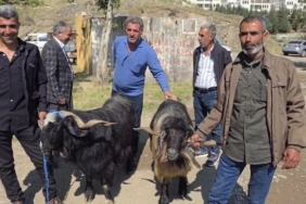 diyarbakir-cermikte-arefe-gununde-kurbanlik-pazarinda-yogunluk-ve-fiyatlar-FrDt6YnW.jpg