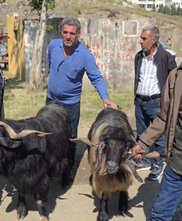 diyarbakir-cermikte-arefe-gununde-kurbanlik-pazarinda-yogunluk-ve-fiyatlar-FrDt6YnW.jpg